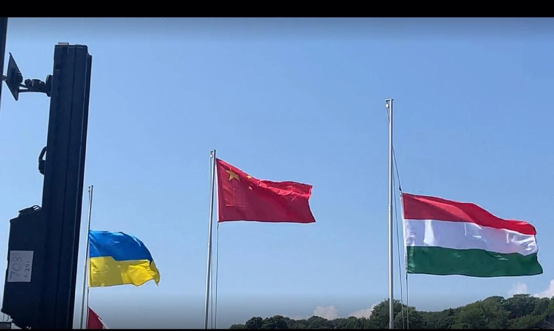 德罗巴重返赛场，晋级下一阶段首场状态出色，加拿大队观众沸腾！(德约最新消息今天比赛)